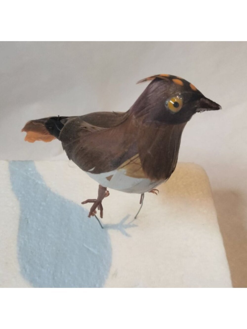 Decorative Tufted Birds Brown Orange Feathers Realistic Craft Display